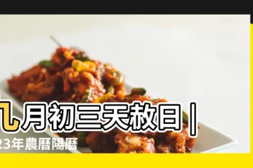 【九月初三天干地支】九月初三天赦日 |2023年農曆陽曆表帶天干地支 |驛馬放火天賊偷 |
