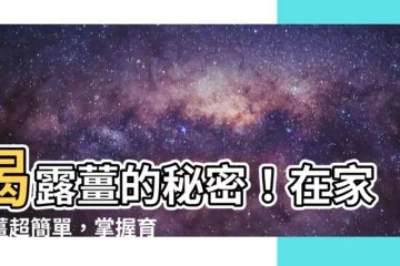 【種薑】揭露薑的秘密！在家種薑超簡單，掌握育苗技巧變薑達人
