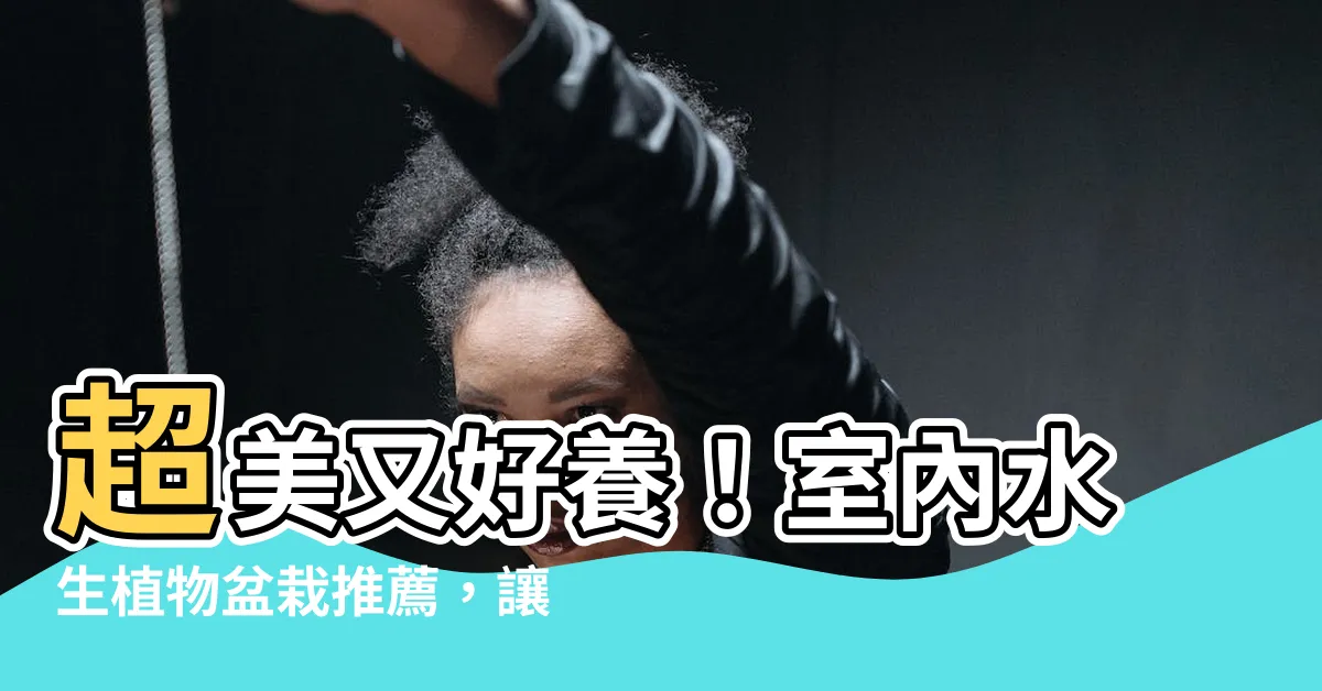 【室內水生植物盆栽】超美又好養！室內水生植物盆栽推薦，讓你輕鬆擁有綠意空間