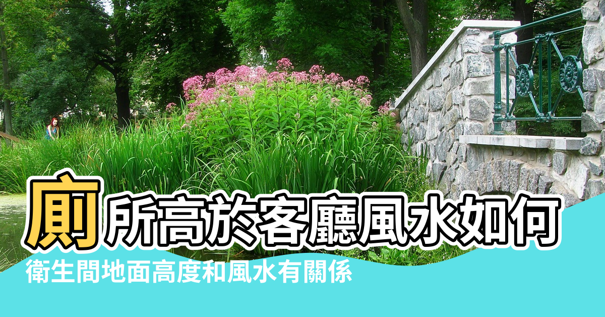 【廁所臺階高度影響風水嗎】廁所高於客廳風水如何 |衛生間地面高度和風水有關係 |衛生間地面高風水有什麼影響嗎應該如何化解 |