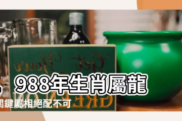 【1988 生效】1988年生肖屬龍？關鍵屬相絕配不可錯過！