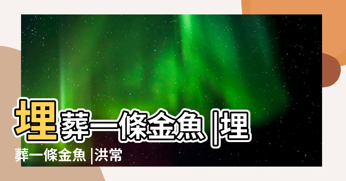 【金魚埋葬】埋葬一條金魚 |埋葬一條金魚 |洪常秀的電影 |