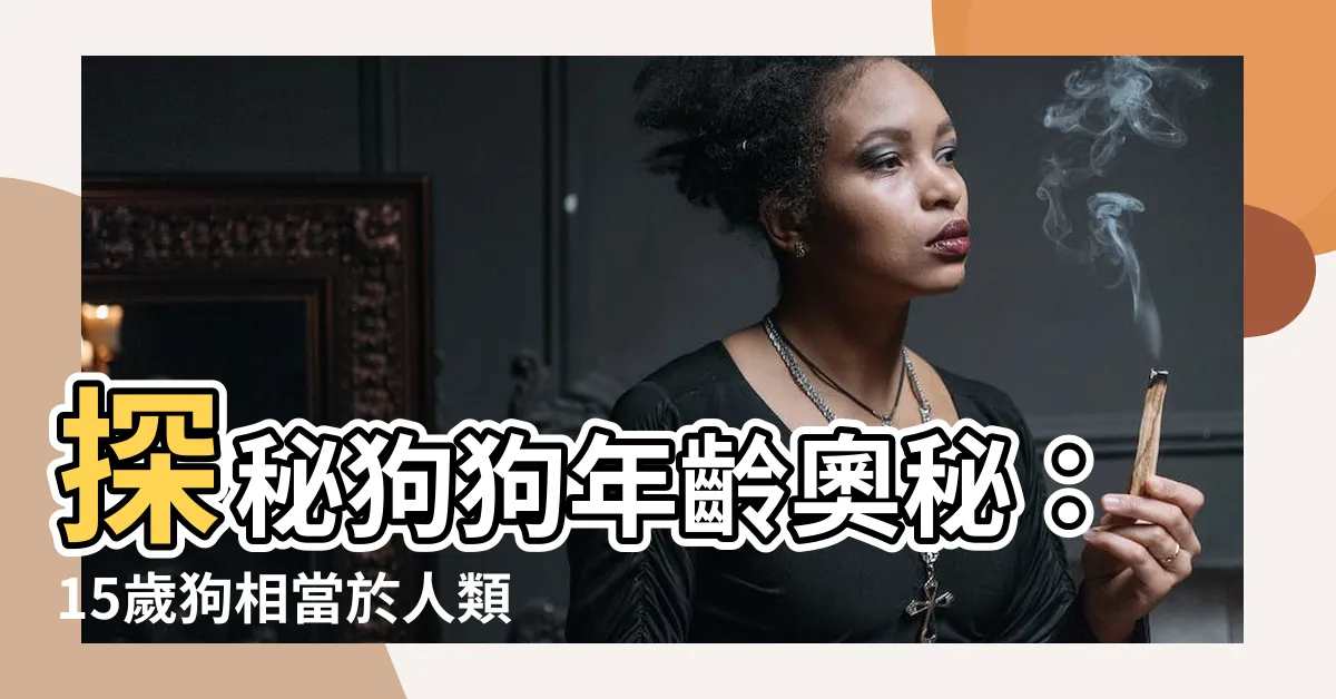【15歲狗】探秘狗狗年齡奧秘：15歲狗相當於人類的神秘年紀！
