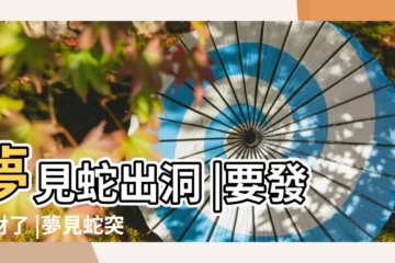 【夢見蛇退出洞】夢見蛇出洞 |要發大財了 |夢見蛇突這樣做專家驚 |
