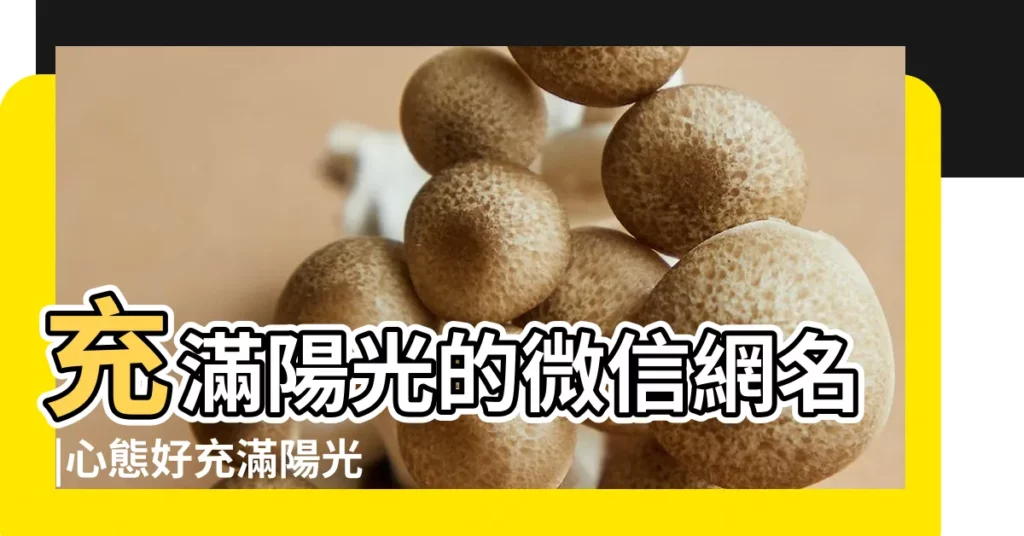 充滿陽光的微信網名 |心態好充滿陽光的微信名 |陽光的微信名字 |【陽光的微信微信名字】