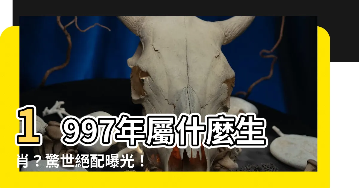 【1997年屬什麼】1997年屬什麼生肖？驚世絕配曝光！你永遠猜不到！