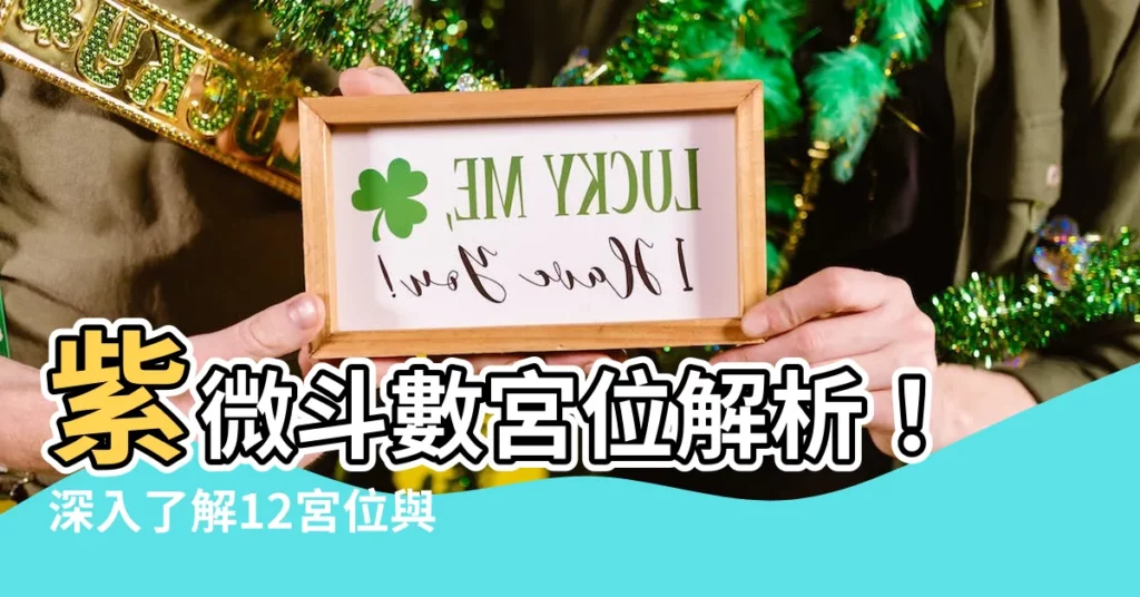 【紫微 宮位】紫微鬥數宮位解析！深入瞭解12宮位與你的命運