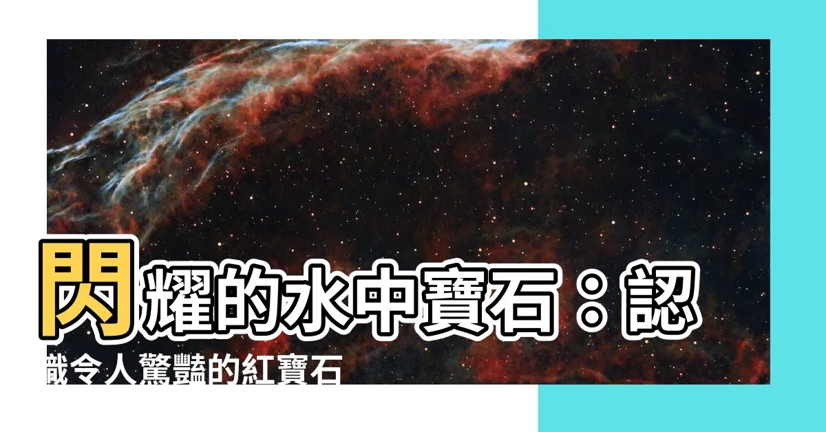 【紅寶石魚】閃耀的水中寶石：認識令人驚豔的紅寶石魚