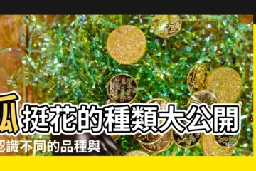 【孤挺花的種類】孤挺花的種類大公開：認識不同的品種與特性
