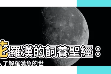 【花羅漢】花羅漢的飼養聖經：深入瞭解羅漢魚的世界