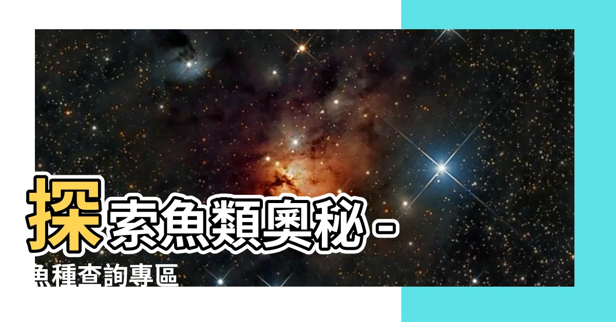 【魚種查詢】探索魚類奧秘 - 魚種查詢專區