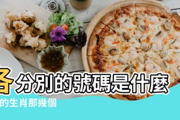 【豬的生肖號碼是多少】各分別的號碼是什麼 |豬的生肖那幾個數 |12個生肖中共有49個號碼 |