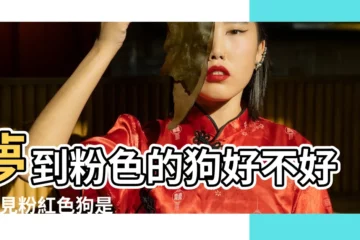 【夢見粉色狗狗】夢到粉色的狗好不好 |夢見粉紅色狗是什麼意思 |夢見粉色的狗是什麼意思 |