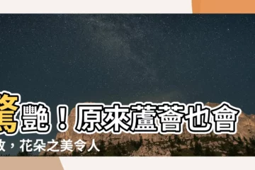 【蘆薈的花有毒嗎】驚艷！原來蘆薈也會綻放，花朵之美令人屏息！關鍵是你不知道…