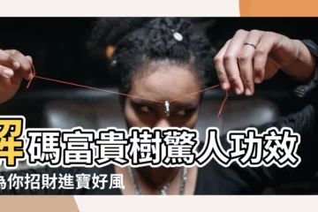 【富貴樹功效】解碼富貴樹驚人功效，為你招財進寶好風水，財源滾滾來！