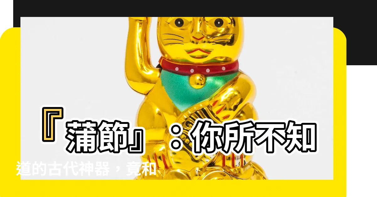 【蒲節】『蒲節』：你所不知道的古代神器，竟和現代科技息息相關！