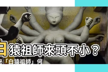 【白猿祖師】白猿祖師來頭不小？揭秘「白猿祖師」何許人也