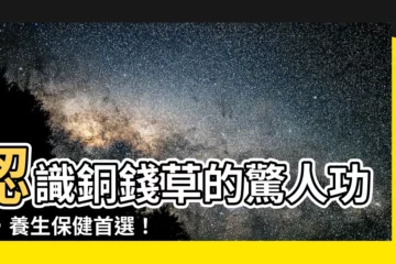 【銅錢草功效】認識銅錢草的驚人功效，養生保健首選！