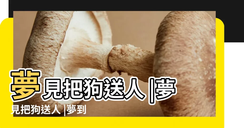 夢見把狗送人 |夢見把狗送人 |夢到把自己的狗狗送人預示了什麼 |【做夢狗狗送人】