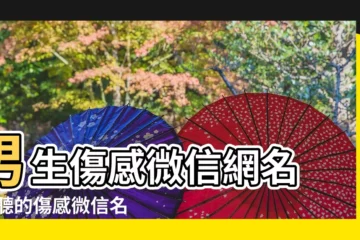 【傷感微信名稱大全男】男生傷感微信網名 |好聽的傷感微信名字 |個性100個 |