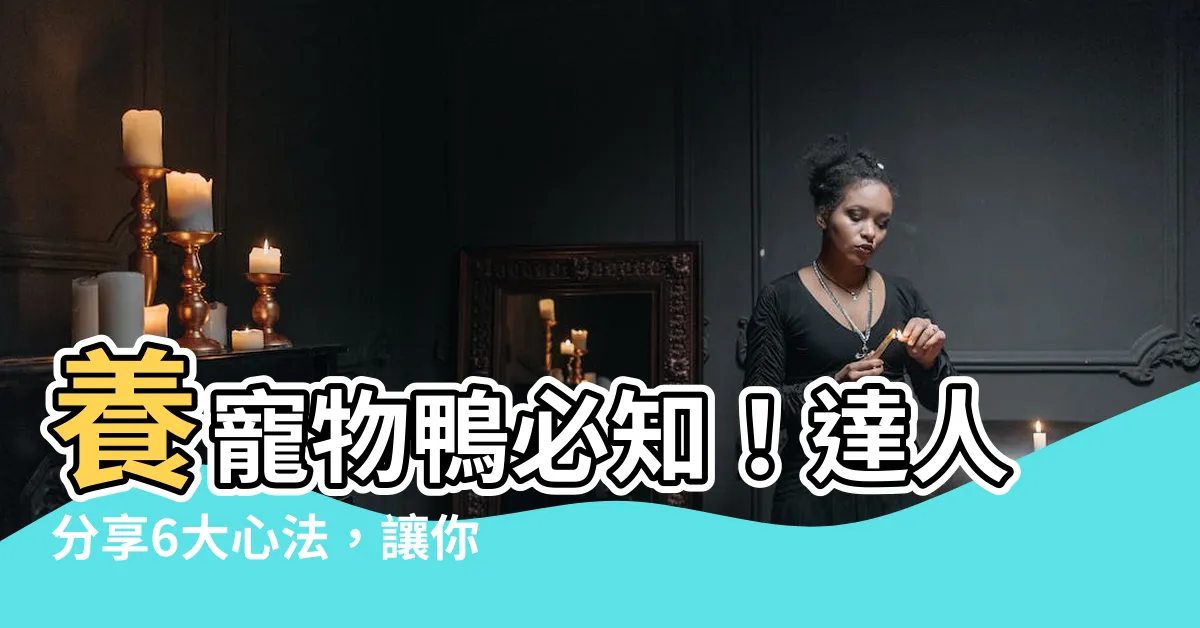【養寵物鴨】養寵物鴨必知！達人分享6大心法，讓你輕鬆上手
