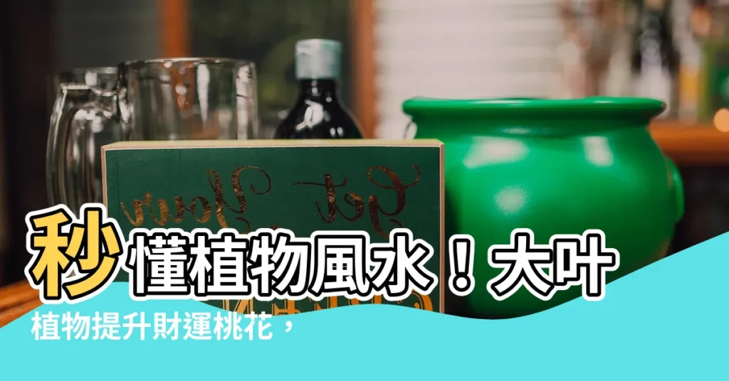 【大葉植物風水】秒懂植物風水！大葉植物提升財運桃花，7款推薦助你一帆風順
