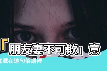 【朋友妻不可欺意思】「朋友妻不可欺」意思竟藏在這句俗語裡