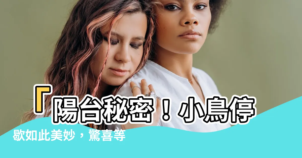 【小鳥停在陽台】「陽台秘密！小鳥停歇如此美妙，驚喜等你發現！」