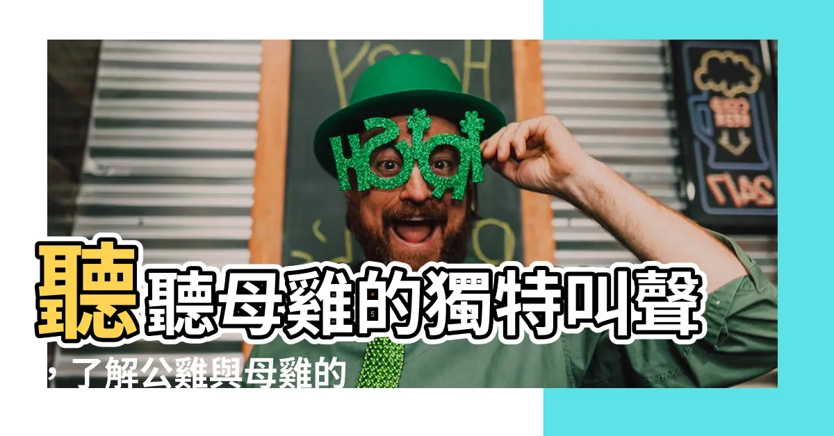 【母雞叫聲】聽聽母雞的獨特叫聲，瞭解公雞與母雞的差異！