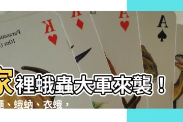 【家裡 蛾】家裡蛾蟲大軍來襲！果蠅、蛾蚋、衣蛾，該怎麼對付？