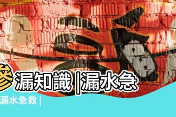 【辦公室沒窗户還漏水】滲漏知識 |漏水急救 |漏水急救 |