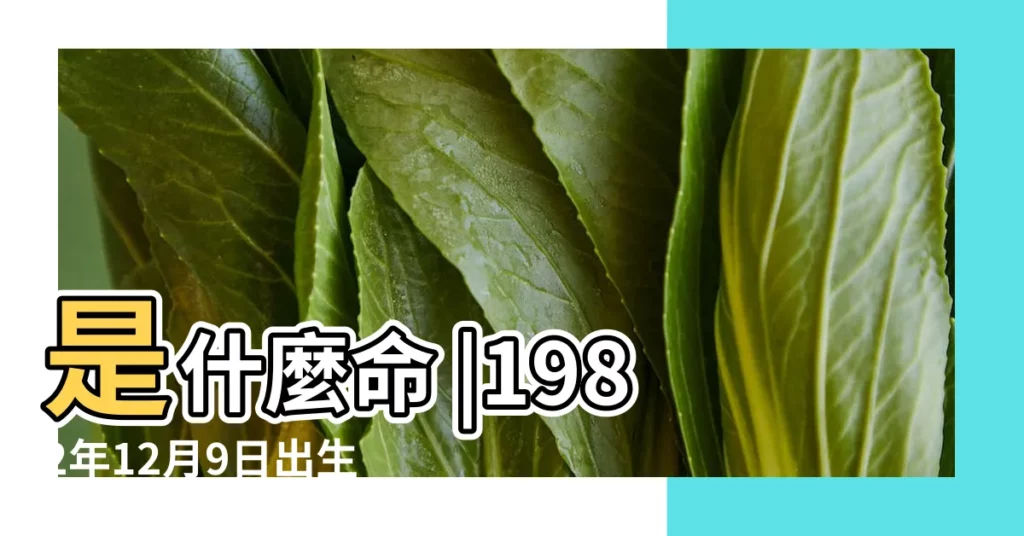 是什麼命 |1982年12月9日出生時間看命運 |1982年12月9日出生的人命好嗎 |【1982年12月9日命運】