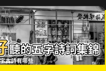 【五字美詩句大全】好聽的五字詩詞集錦 |五字古詩有哪些 |30首絕美的五言絕句 |