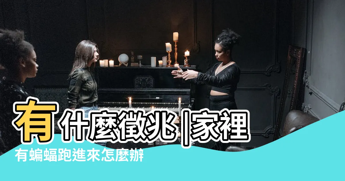 【蝙蝠跑進房間】有什麼徵兆 |家裡有蝙蝠跑進來怎麼辦 |轉角遇到蝙蝠 |