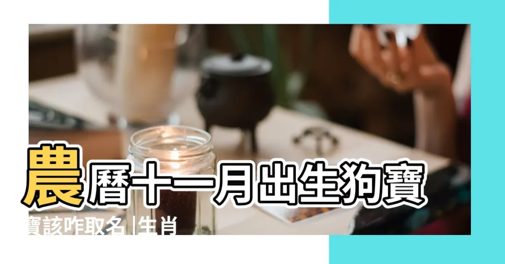 農曆十一月出生狗寶寶該咋取名 |生肖姓名學 |狗寶寶取好名一生旺旺旺 |【十一月的狗寶寶取名】