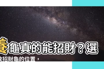 【烏龜養在哪】養龜真的能招財？選對放招財龜的位置，財源滾滾來！