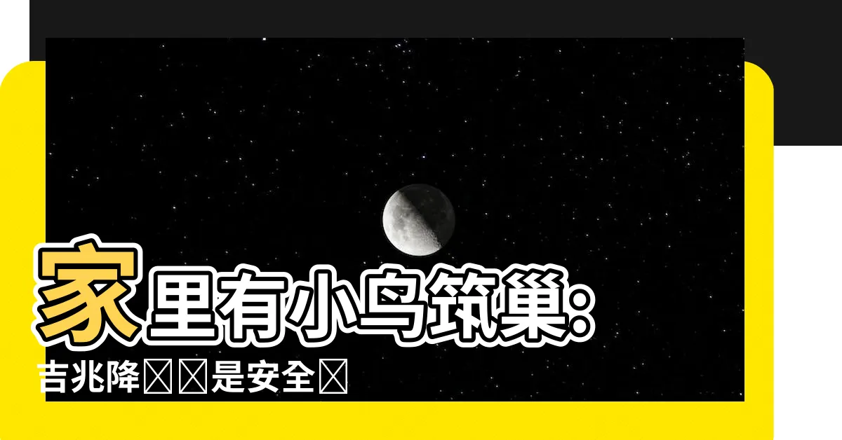 【家裏有小鳥築巢】家裏有小鳥築巢: 吉兆降臨還是安全隱患?