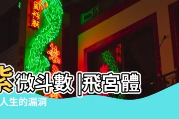 【紫微鬥數飛宮為自化忌】紫微斗數 |飛宮體系 |人生的漏洞 |