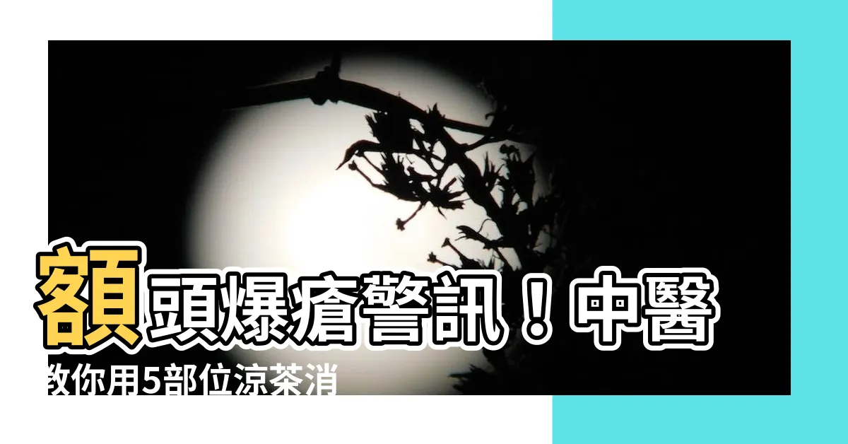 【額頭爆瘡】額頭爆瘡警訊！中醫教你用5部位涼茶消火降火，一覺醒來肌膚無瑕