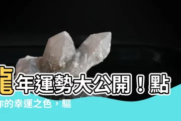 【龍的幸運顏色】龍年運勢大公開！點亮你的幸運之色，驅邪避兇迎好運