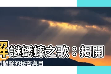 【蟋蟀 叫】解謎蟋蟀之歌：揭開牠們發聲的秘密與目的