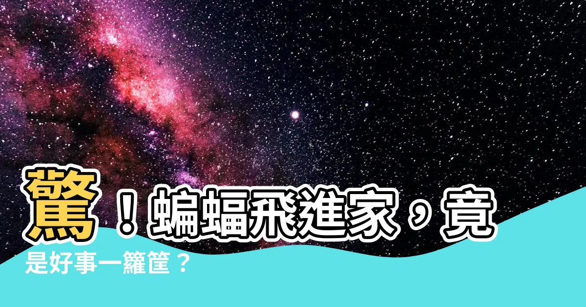 【蝙蝠飛進家】驚！蝙蝠飛進家，竟是好事一籮筐？