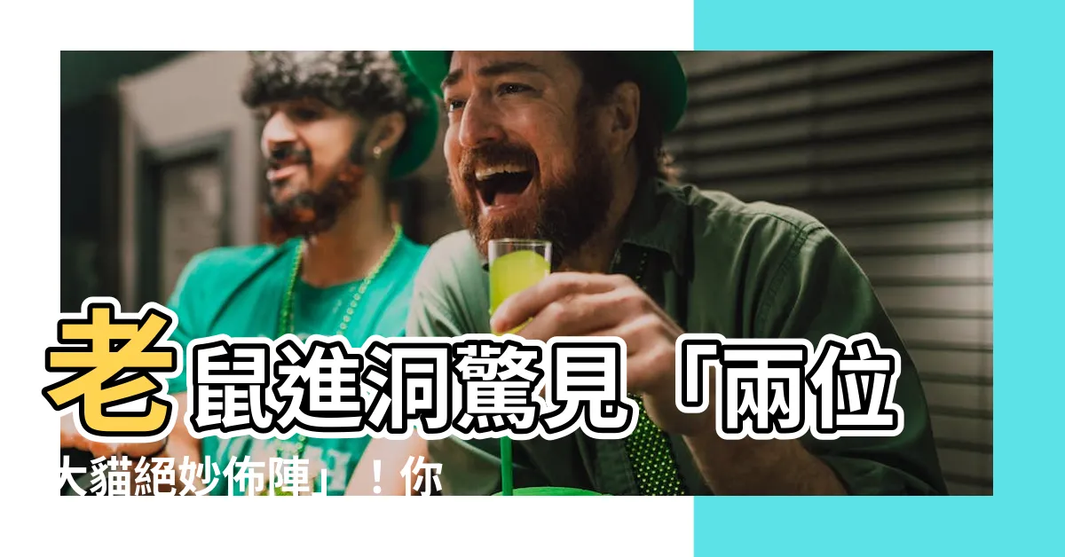 【老鼠鑽洞】老鼠進洞驚見「兩位大貓絕妙佈陣」！你知道老鼠鑽洞的秘密嗎？