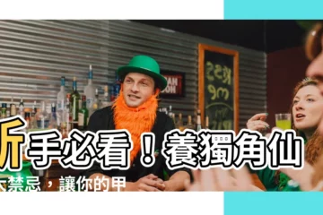 【養獨角仙的三大禁忌】新手必看！養獨角仙三大禁忌，讓你的甲蟲強壯又健康