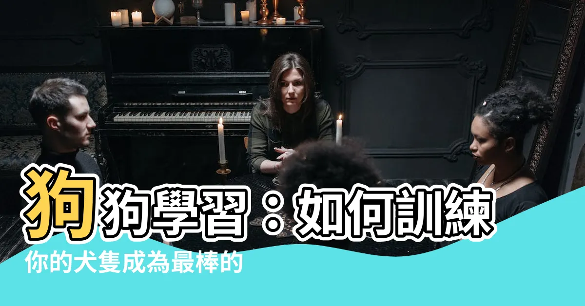 【狗】狗狗學習：如何訓練你的犬隻成為最棒的伴侶？
