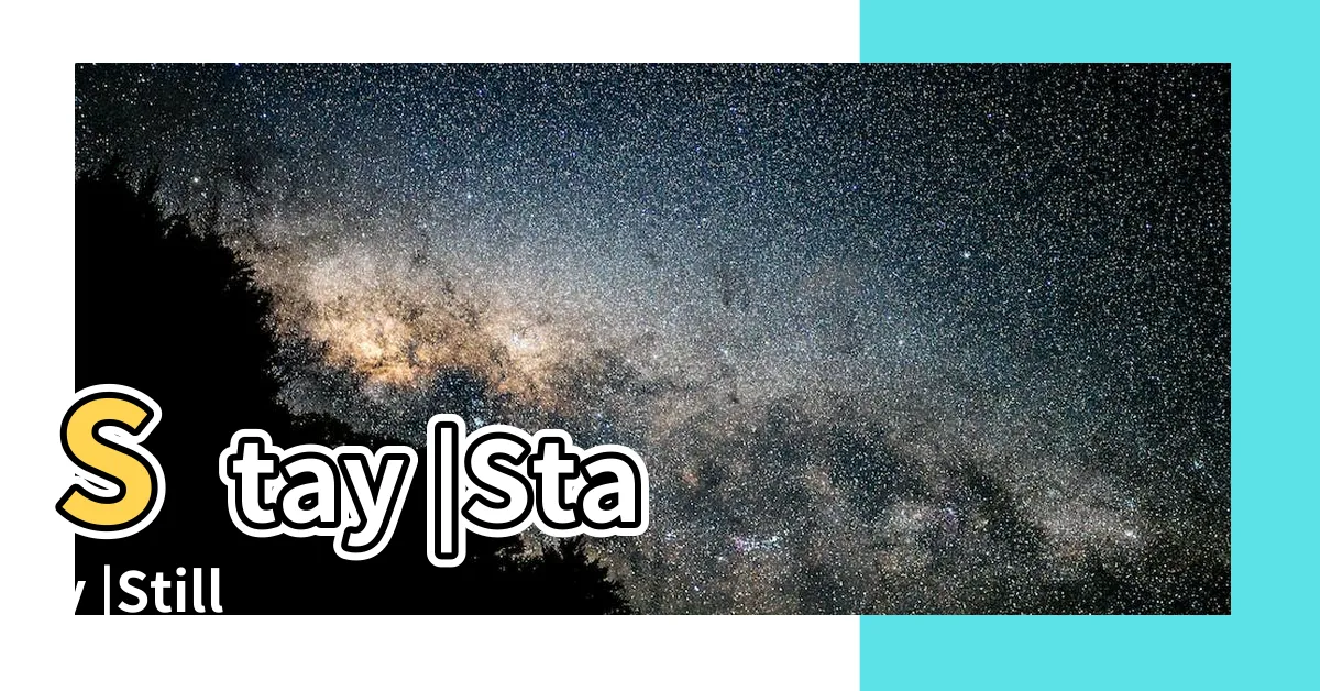 【樓下來的人】Stay |Stay |Still |