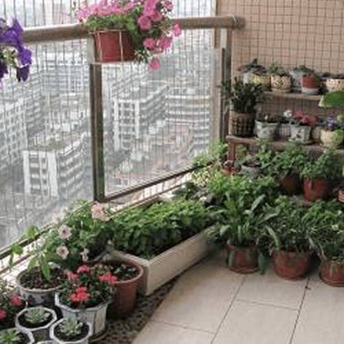 1、什麼植物適合室內風水,什麼植物適合家里風水
