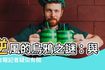 【逆風的烏鴉】逆風的烏鴉之謎：與聯合報記者疑似有關？