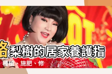【酪梨樹】酪梨樹的居家養護指南：種植、施肥、修剪、澆水的完整秘訣