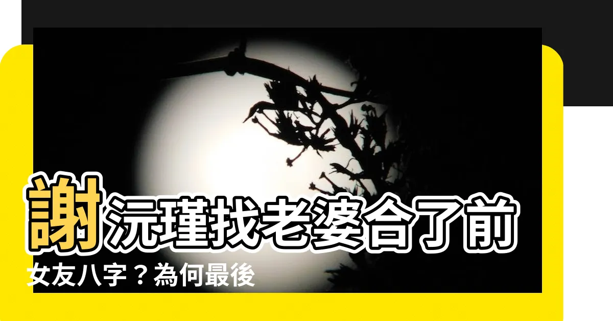【謝沅瑾老婆】謝沅瑾找老婆合了前女友八字？為何最後情歸高中同學？